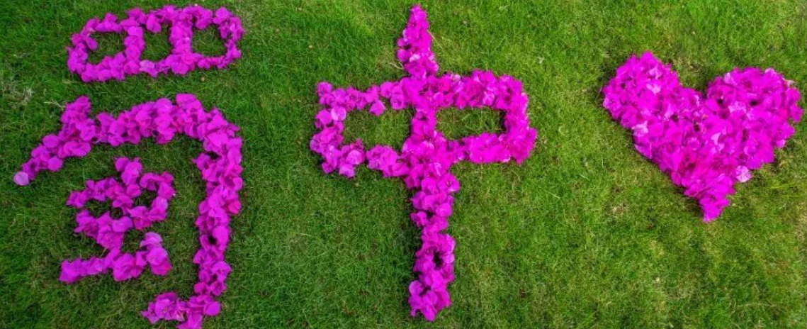 bte365官网-不凡成就非凡,相信品牌力量