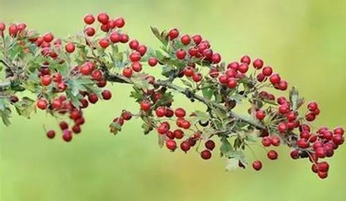 bte365官网-不凡成就非凡,相信品牌力量